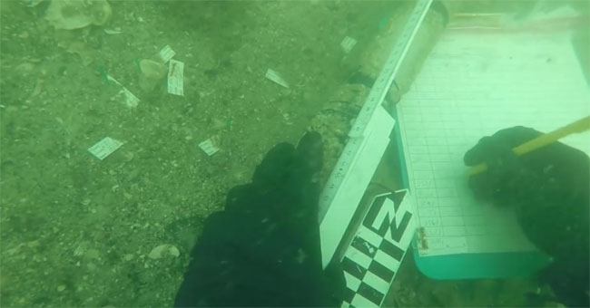 The 7,000-year-old graveyard was buried at the bottom of the sea