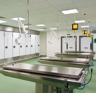 The 91-year-old grandmother died, suddenly resurrecting in the frozen morgue