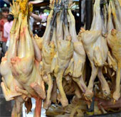 The 9th death due to H5N1 infection in Cambodia