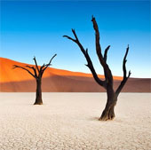 The 'alien' graveyard in the heart of the African desert