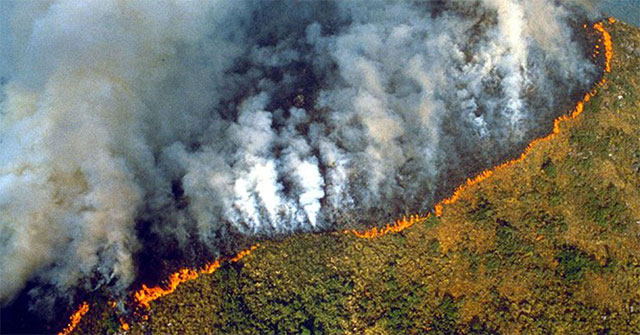 The Amazon forest was big, and the smoke could be seen from the orbit