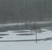The American people roared because of the mysterious circle on the pond