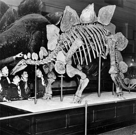 The amount of CO2 on Jurassic Earth is 5 times higher than the current