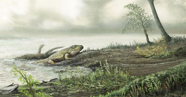 The ancestor of antibiotic resistant bacteria dried up 450 million years ago