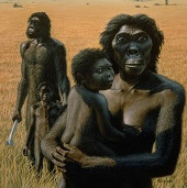 The ancestors of humans live by eating grass