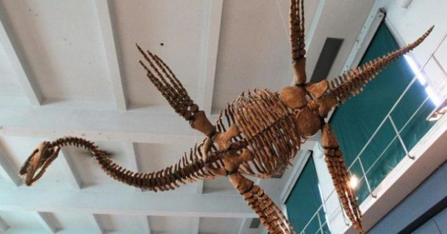 The ancient 'Loch Ness' monster swims like a penguin