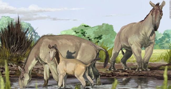 The animal that used to be the father of evolution became confused