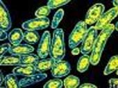 The appearance of TB strains is extremely dangerous