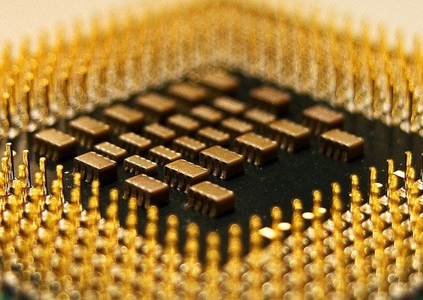 The appearance of the chip