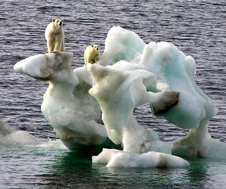 The Arctic challenges the law of nature