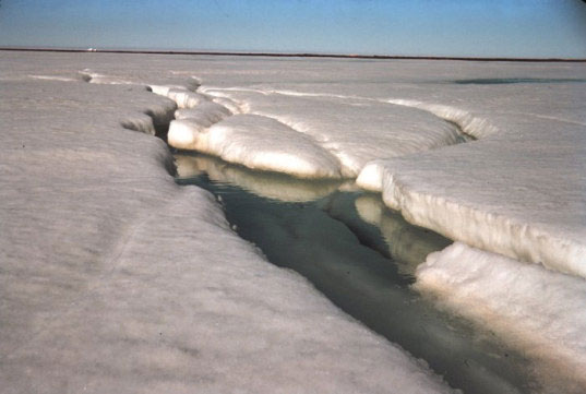 The Arctic emits 62 billion tons of carbon in the 21st century