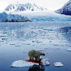 The Arctic Sea is the hottest 2,000 years