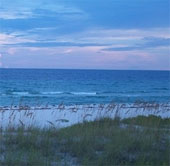 The area of ​​'dead water' in the Gulf of Mexico increased record
