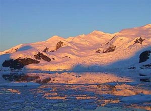 The area of ​​the Arctic ice falls to the lowest level