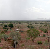 The arid areas on the earth are greener because of the increased CO2 concentration