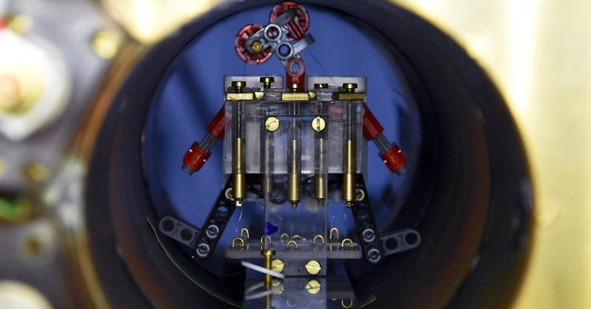The 'army' of microscopic robots looks for cancer cells
