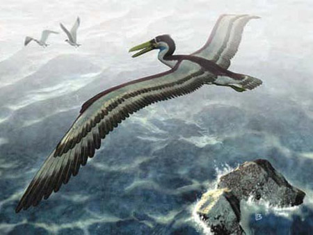 The assassins once dominated the blue sky