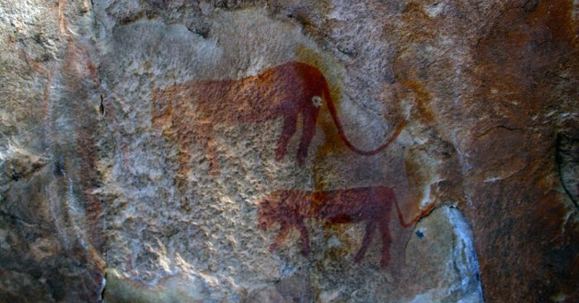 The assertive cave picture on Earth once existed in the hybrid bison