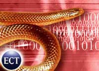 The attack of automatic IM worms is hard to avoid