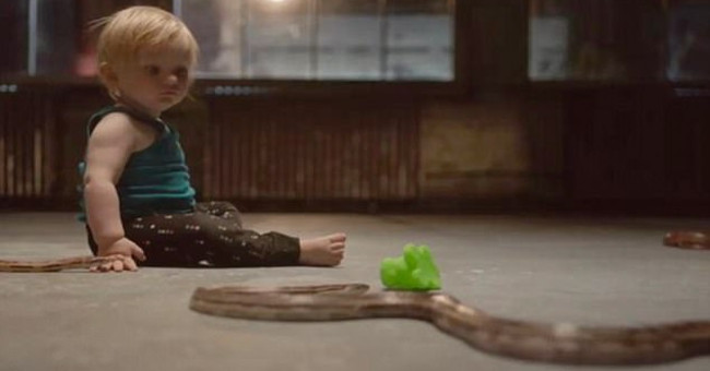 The baby alone played with snakes and the scientific solution behind it