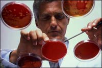 The bacteria resurrected after 8 million years of freezing