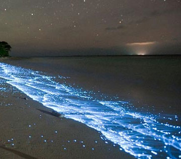 The beach glows