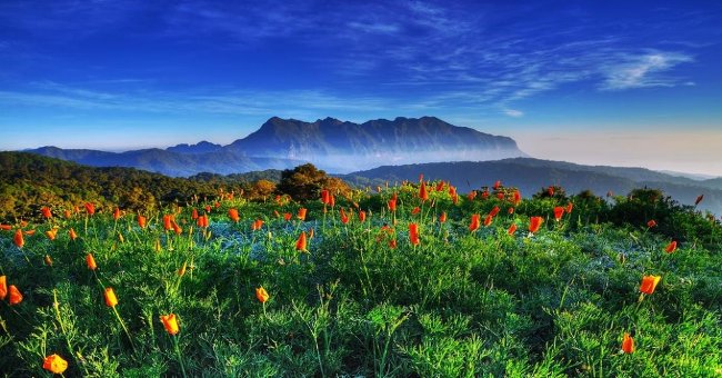 The beauty of 'hard to resist' of 20 places in the world when spring comes