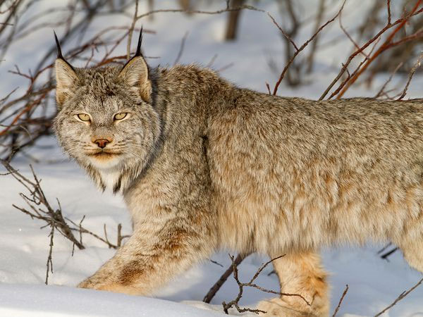 The best photos in February 2012