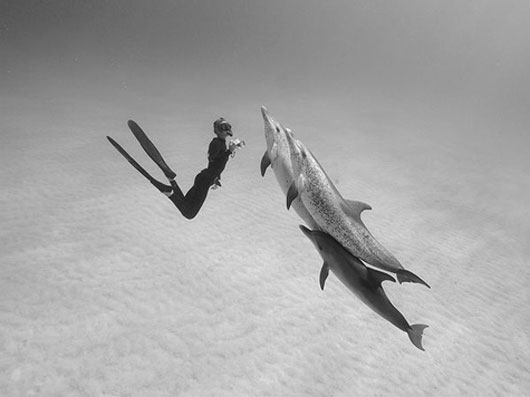 The best travel photos of 2011