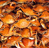 The bigger the crab, the more sad the seafood lover