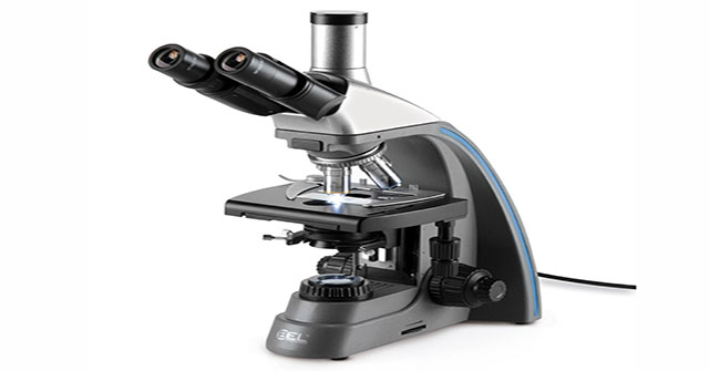 The birth of the microscope