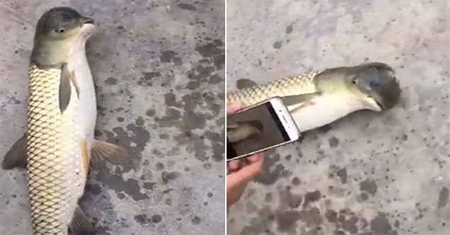 The bizarre 'bird's head' is making this network of people really real?