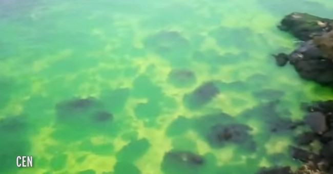 The Black Sea changes an unusually blue color, which makes people confused