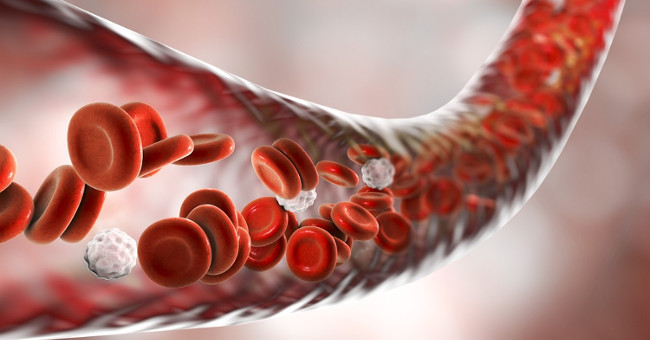 The blood cells of cancer survivors have hope to help other patients' get better.