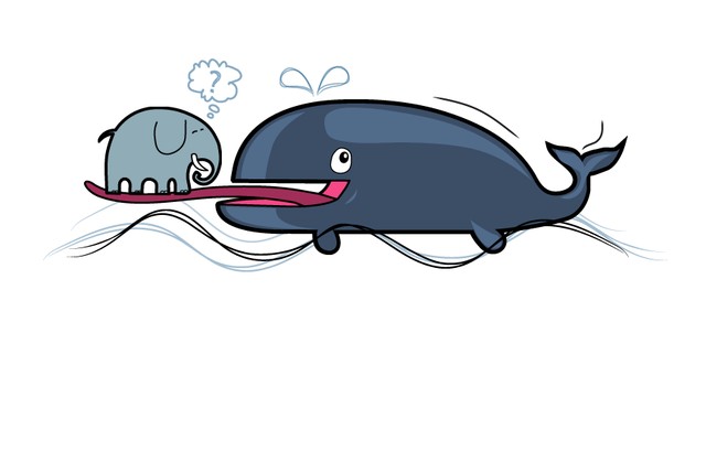 The blue whale's tongue is even heavier than an elephant