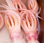The bomb is in the belly of the squid