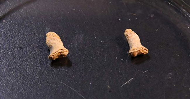 The bone of 115,000 years of a girl is eaten by prehistoric birds