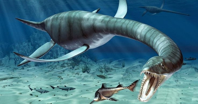 The boy took two years to restore the 200 million-year-old dragonhead fossil