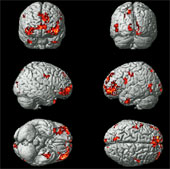The brain activity corresponds to every human emotion