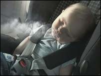 The brain is poorly developed because of pollution