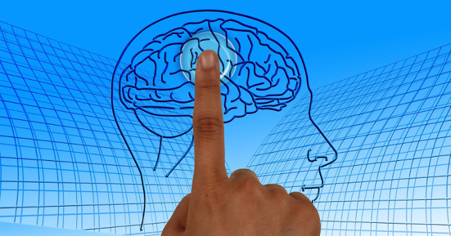 The brain of an only child is different from the brain of those with siblings