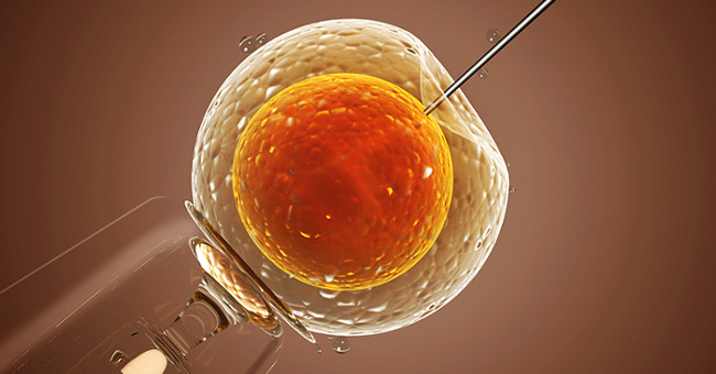 The British government allowed testing of genetic engineering on human embryos