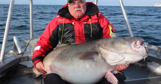 The British man caught the 42 kg cod