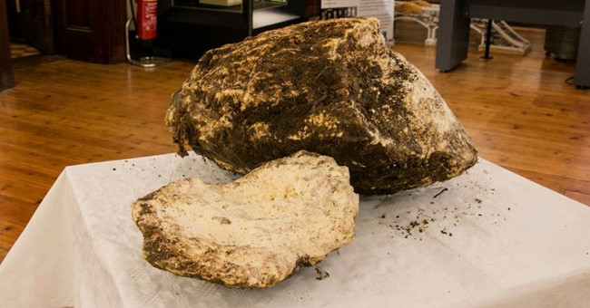 The butter is still eaten after 2000 years buried in the Irish swamp