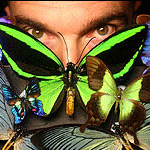 The butterfly works like LED technology