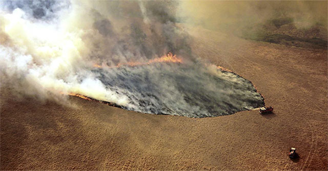 The carbon emissions from forest fires in Australia are similar to the emissions of Amazon forest fires