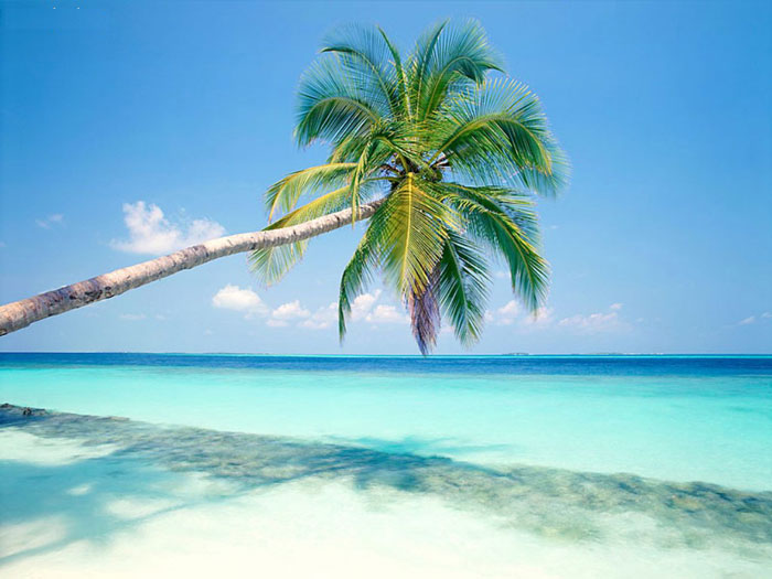 The Caribbean region needs a solution to climate change