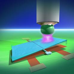 The Casimir force exists in all liquids