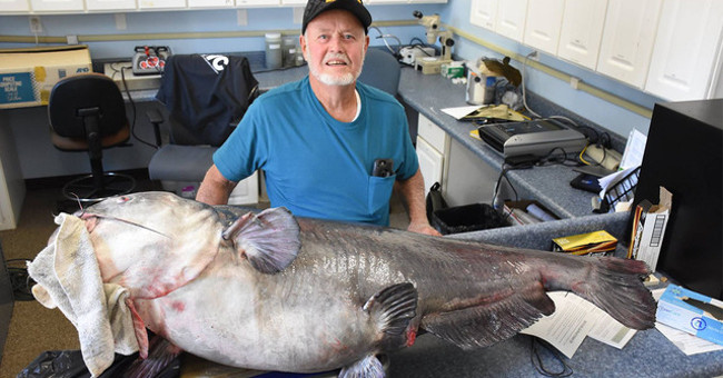 The catfish weighs 55kg and bites American fishermen