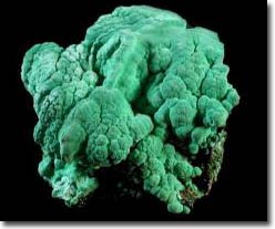 The cause of animal evolution halts for two billion years